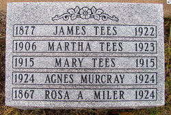 Rosa Agnes Wilkins Miler - Gravestone